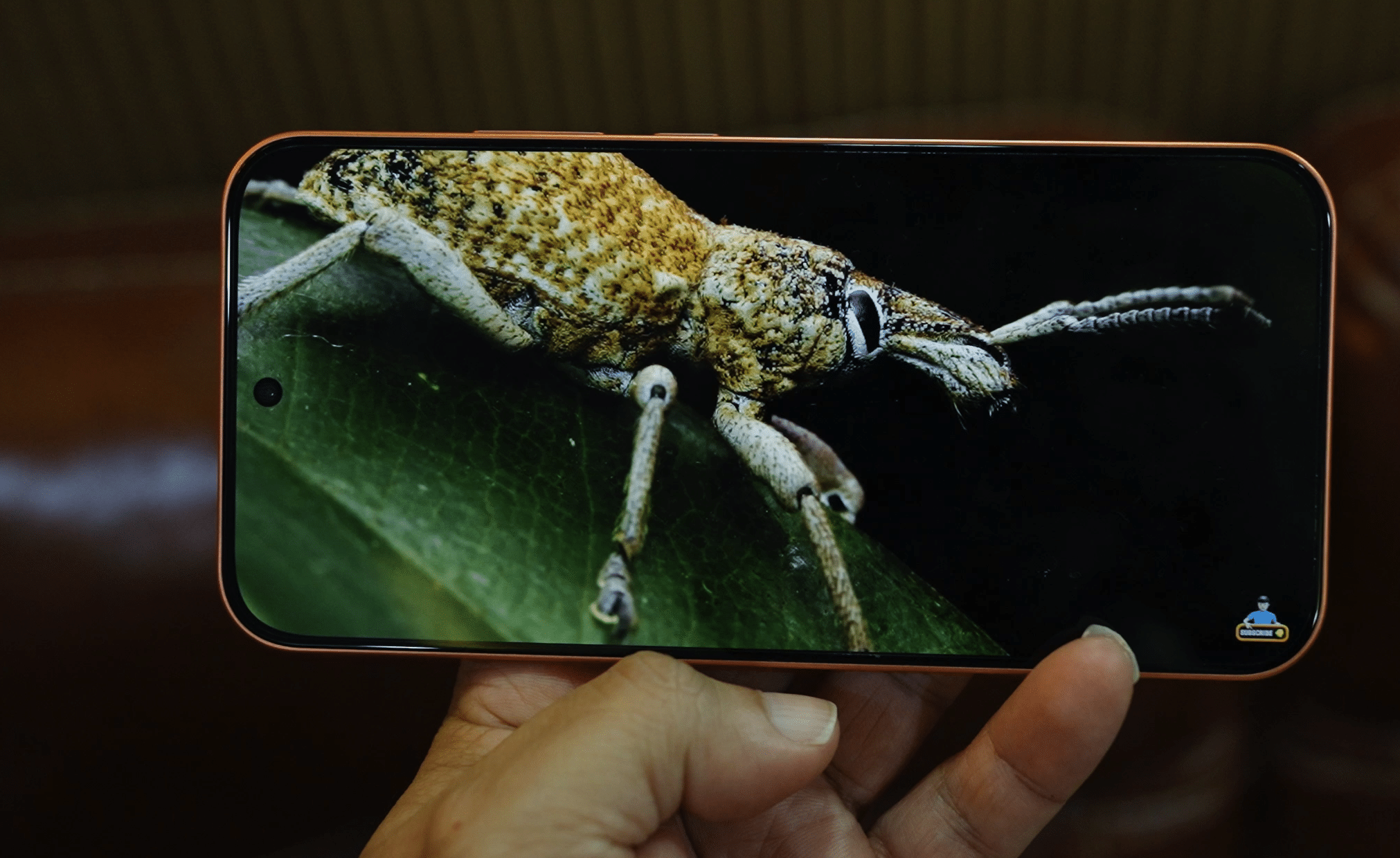 OPPO F35 Pro 5G AMOLED display showing a nature video